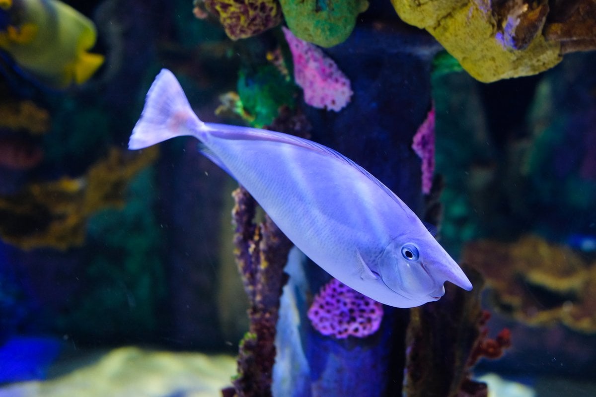 Great Lakes Aquarium - Gallery Image 3